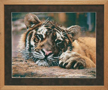 EXPECTATION, Beadwork kit, Charivna mit Crystal Art Bead Embroidery Needlepoint Handcraft kit