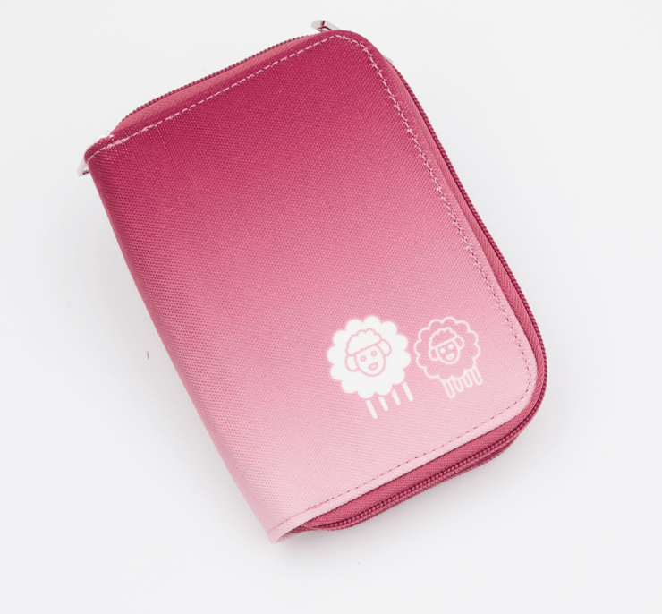 KnitPro Dreamz Starter Interchangeable Needle Set 200632 - Leo Hobby